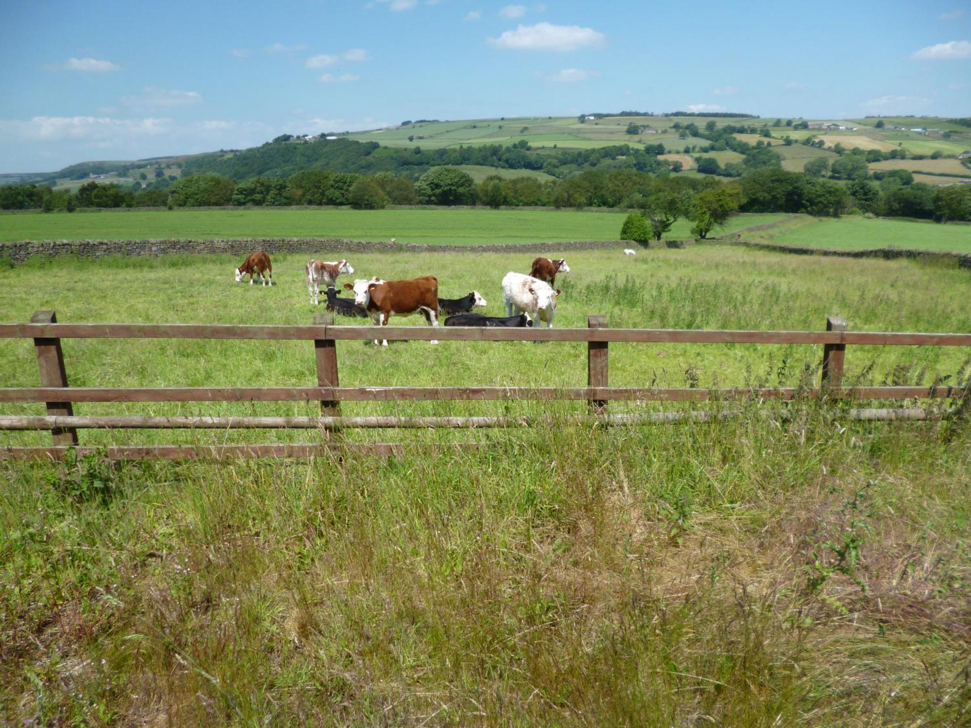 Appartamento Padley Farm Bradfield Esterno foto