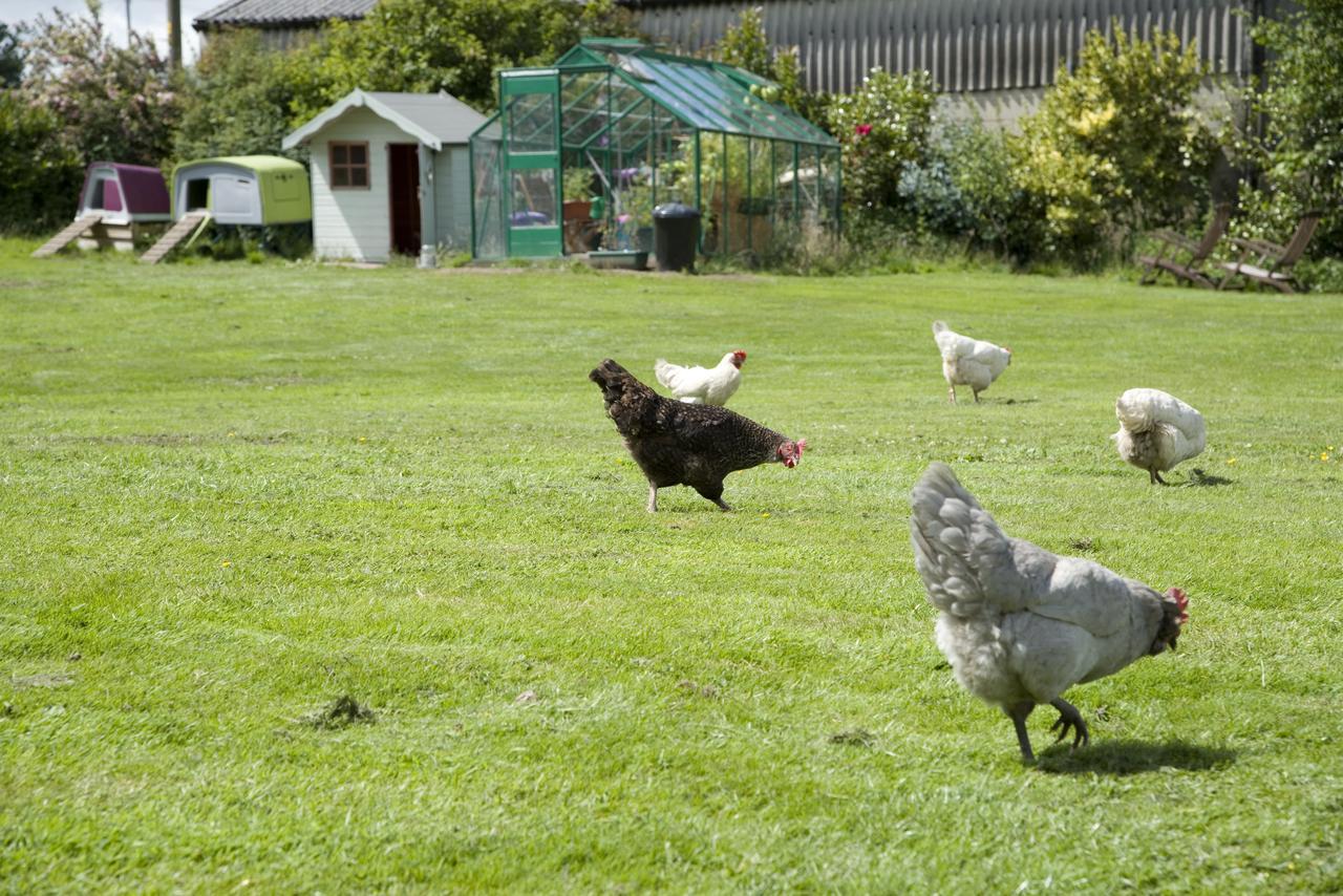 Appartamento Padley Farm Bradfield Esterno foto